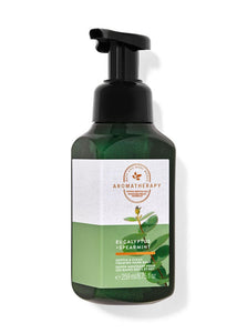 Eucalyptus Spearmint Gentle & Clean Foaming Hand Soap